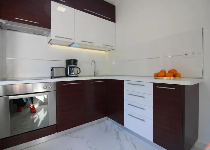 Apartament Modern Sabina With Garden *