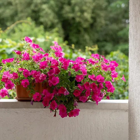 Modern Sabina With Garden Апартаменты *