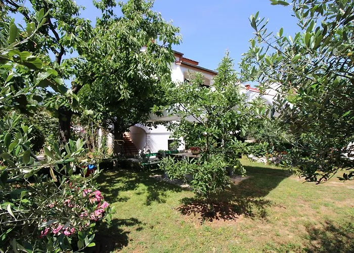 Modern Sabina With Garden Apartman